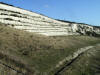 Paulsgrove chalk pit