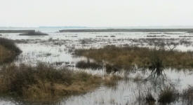 view from Mill lane toward breach